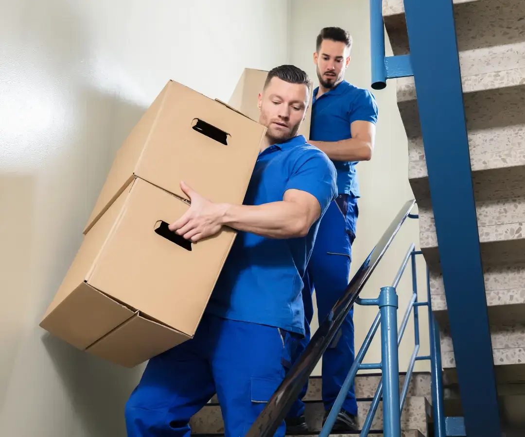 Packers & Movers 